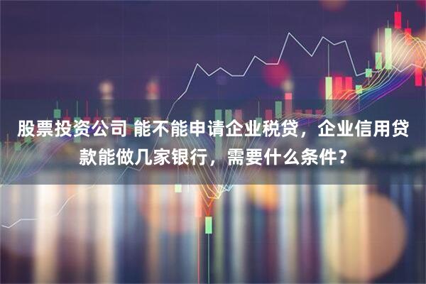 股票投资公司 能不能申请企业税贷，企业信用贷款能做几家银行，需要什么条件？