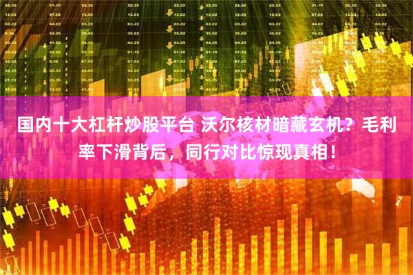 国内十大杠杆炒股平台 沃尔核材暗藏玄机？毛利率下滑背后，同行对比惊现真相！