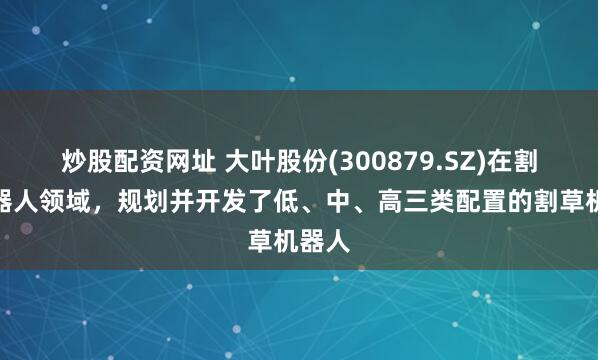 炒股配资网址 大叶股份(300879.SZ)在割草机器人领域，规划并开发了低、中、高三类配置的割草机器人