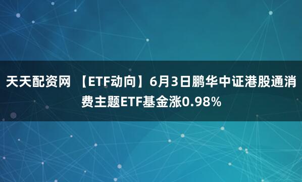 天天配资网 【ETF动向】6月3日鹏华中证港股通消费主题ETF基金涨0.98%