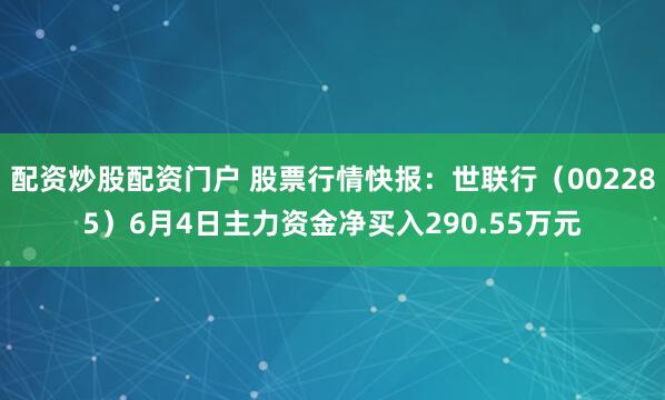 配资炒股配资门户 股票行情快报：世联行（002285）6月4日主力资金净买入290.55万元