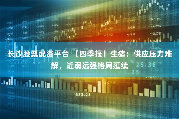 长沙股票配资平台 【四季报】生猪：供应压力难解，近弱远强格局延续